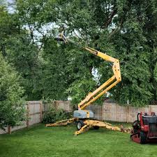 Professional Tree Removal and Landscaping Services in Smithville, TN